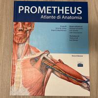 Atlante di Anatomia Umana - PROMETHEUS