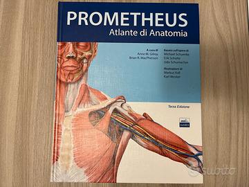 Atlante di Anatomia Umana - PROMETHEUS