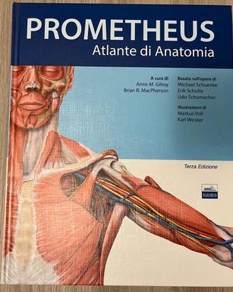 Atlante di Anatomia Umana - PROMETHEUS