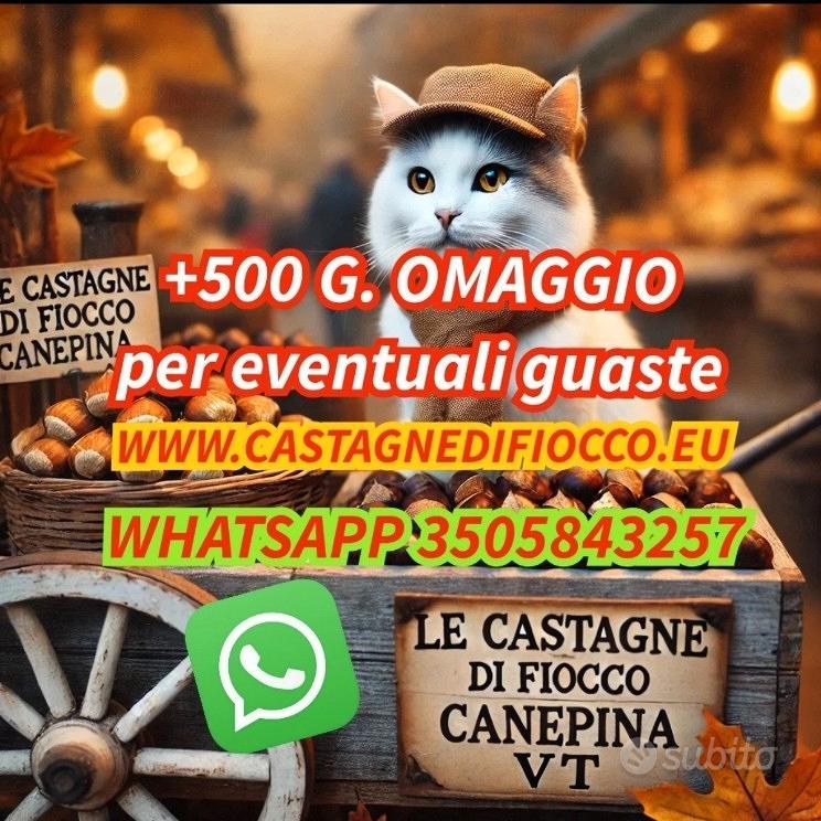NOCCIOLETO 1/2 ettaro transitabile con trattore - Altro