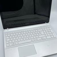 Sony Vaio