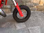 Immagine 3