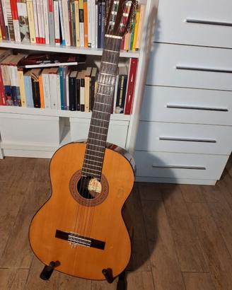 Chitarra eko fg501 vintage