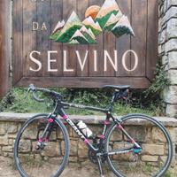 bici da corsa giant tcr 