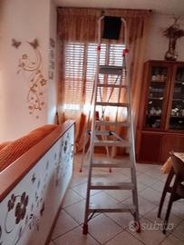 Scala Faraone Lady 8