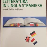 Libro per docenti di lingue straniere