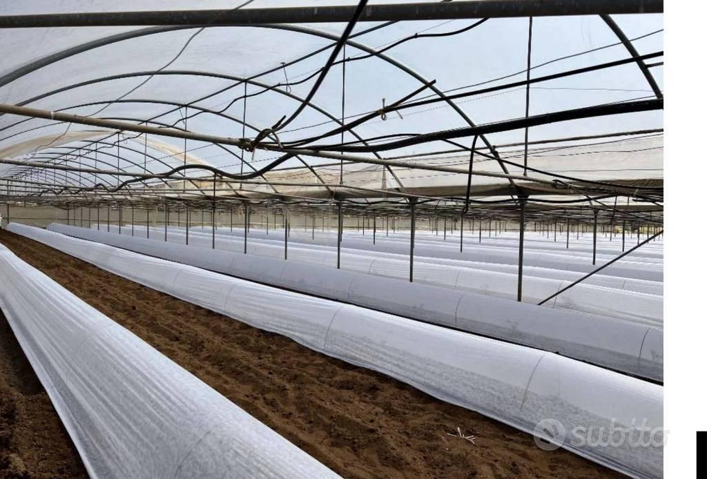 Immobile in asta di 33926 m² a Anzio - Altro