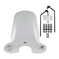 Parabrezza faco vespa et2 et4 + aste verniciate ar