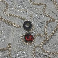 Charme Coccinella 🐞pandora