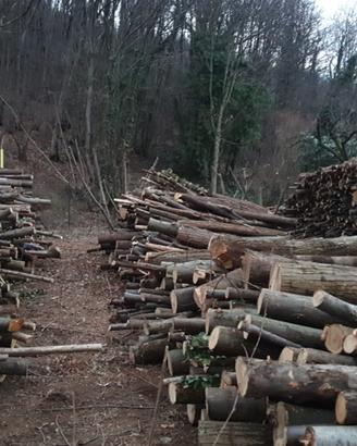 Legna da ardere