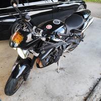 Ricambi Triumph StreetTriple R 2010 