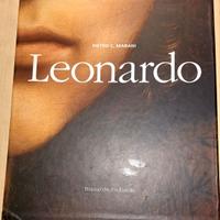 Libro Leonardo una carriera di pittore