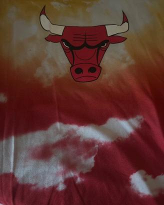 Maglia Chicago Bulls
