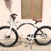 bici elettrica motore zehus