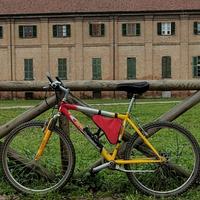 Bici MountainBike misura 26