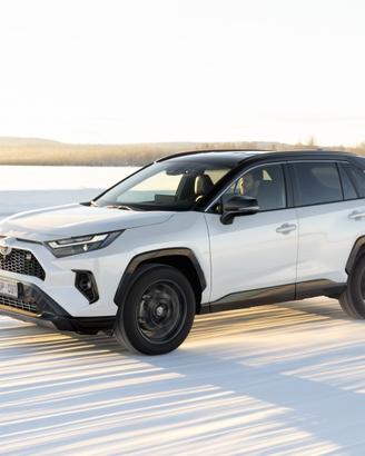 MUSO MUSATA KIT AIRBAG SOSPENSIONE TOYOTA RAV4 202