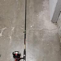 Canna bolentino carbon