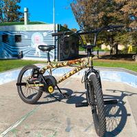 bmx  bicicletta freeStyle