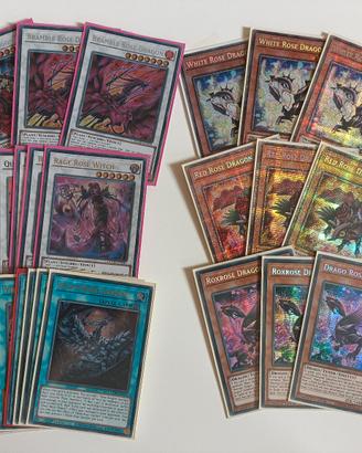 Black rose dragon deck Yu-Gi-Oh