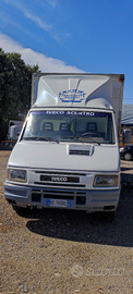 Iveco trasporto bestiame