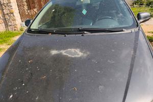 fiat Croma anno 2006