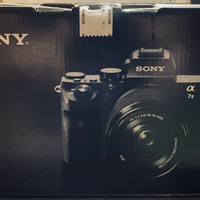 Sony A7ii