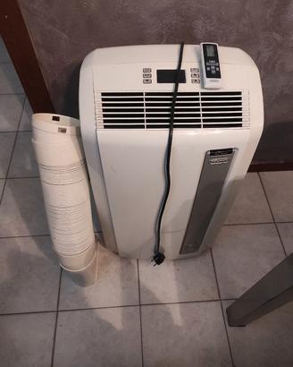 Condizionatore Pinguino 