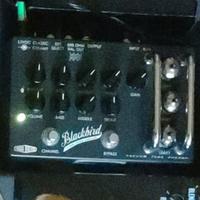 Effectrode Blackbird SR-71
