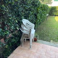 Sedie plastica bianca