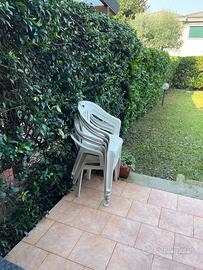 Sedie plastica bianca