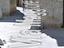 Immagine 8