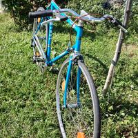 Bici Moser