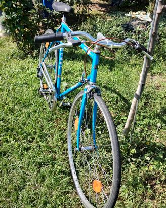 Bici Moser
