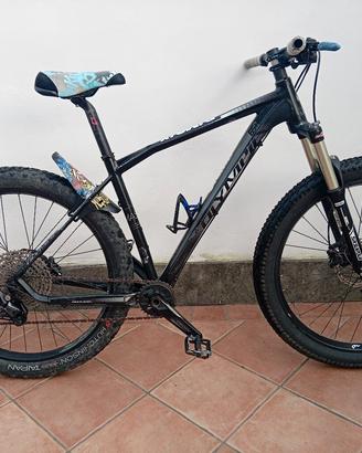 Mtb Olympia 29