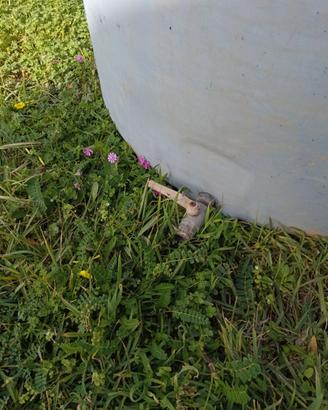 Serbatoio 1000 litri