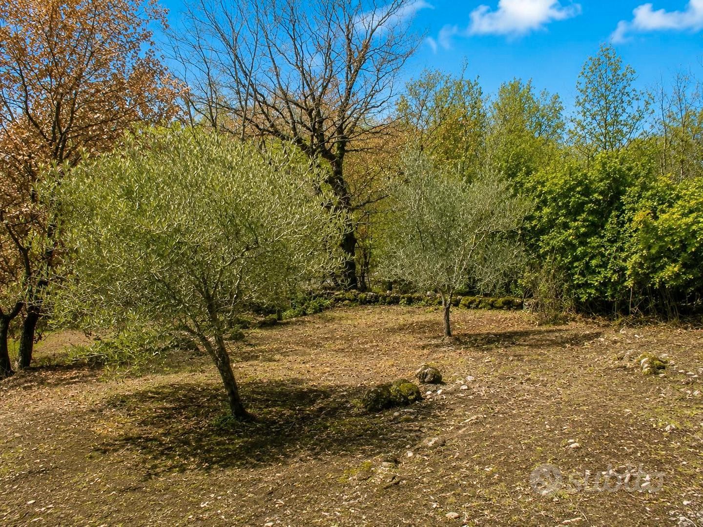 Asta - Terreno+Fabbricato - Belpasso(CT) - Vista 2