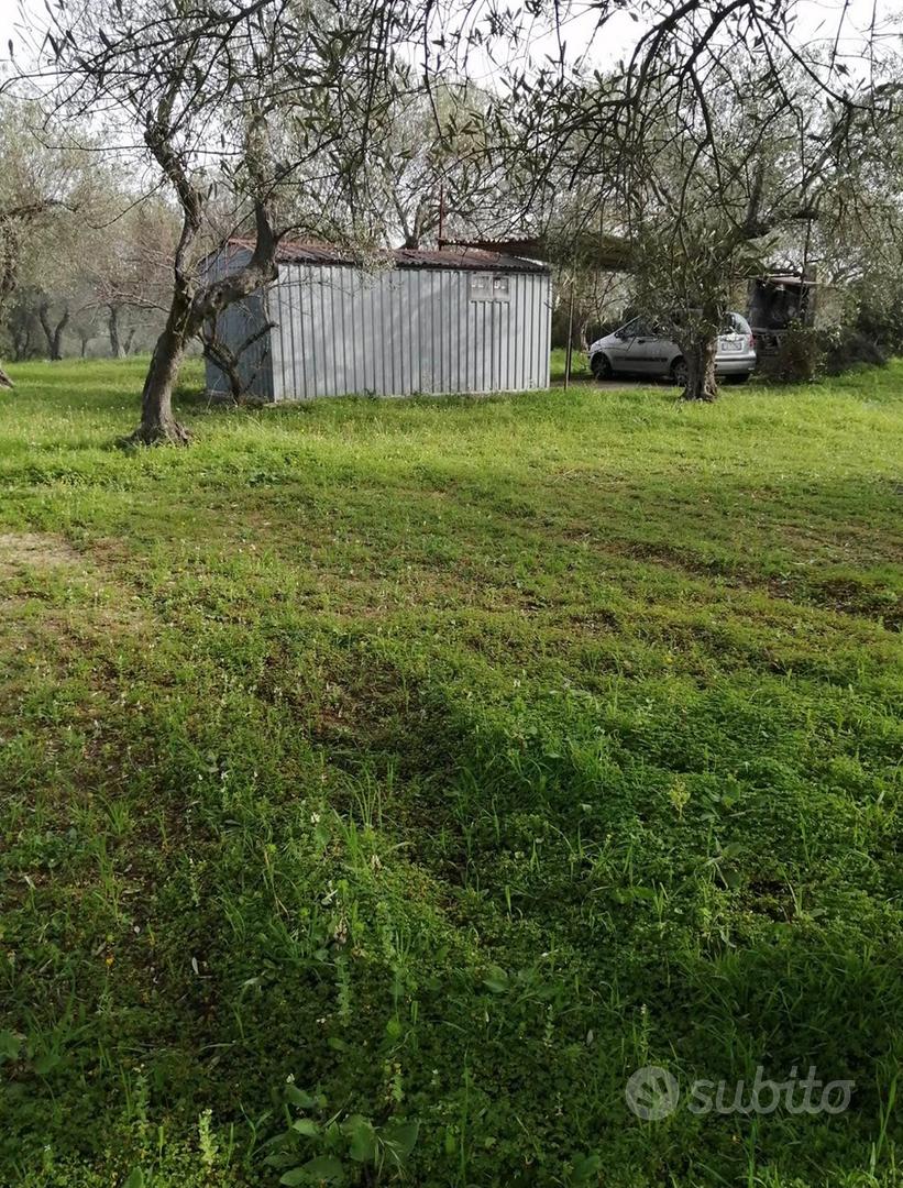 ULIVETO USINI - Vista 2