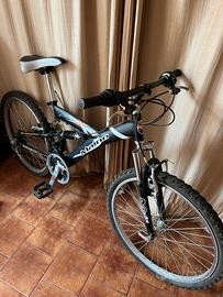 Mountain bike