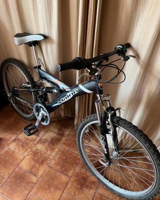 Mountain bike