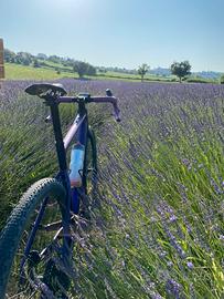 Gravel Bergamont grandurance 8