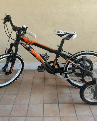 Bicicletta