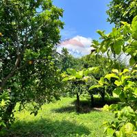 Terreno - Aci Sant'Antonio