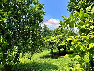 Terreno - Aci Sant'Antonio