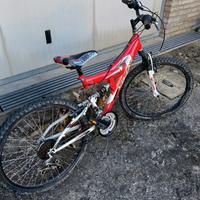 bicicletta Vicini ragazzo 12 anni