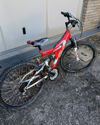 bicicletta Vicini ragazzo 12 anni