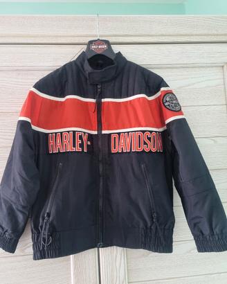 Giubbotto Harley Davidson TG.S 
