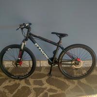 Mountain bike