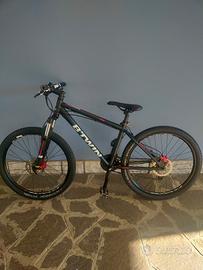 Mountain bike