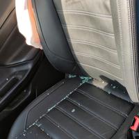 Sedili in pelle Ford Ecosport 2022