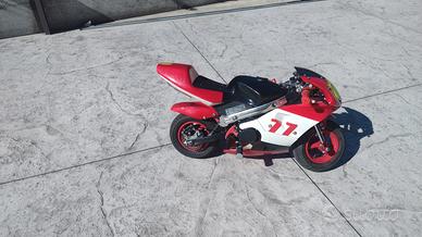 Minimoto 